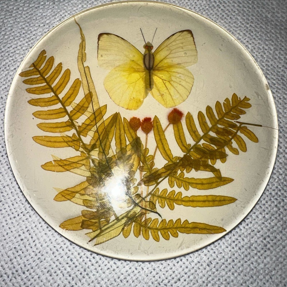 Vintage 70's Acrylic Lucite TRIVET Dried Ferns & Butterfly - Picture 4 of 5